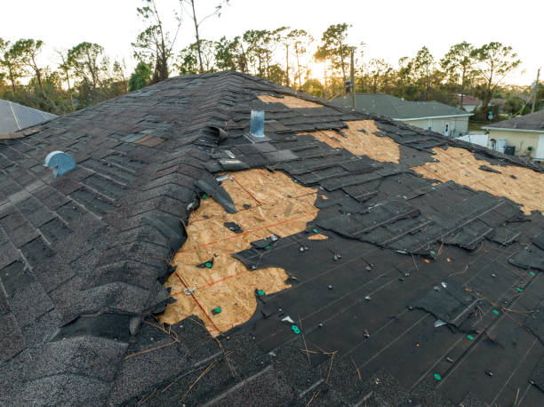 Best Roof Insulation Installation  in Harlan, IN